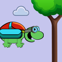 Top Flight Turtle